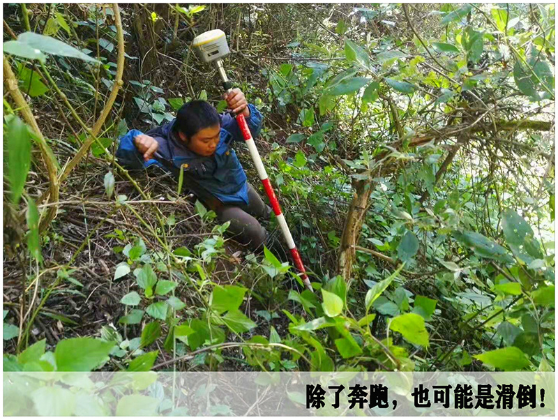 科发公司成功举办外业工作生活摄影比赛
