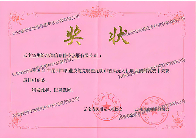 最佳组织奖