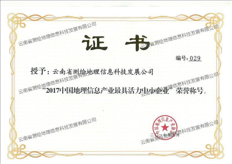 2017最具活力中小企业证书